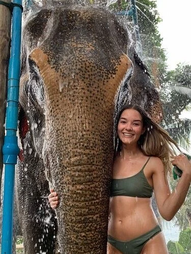 Miss Indi, 24